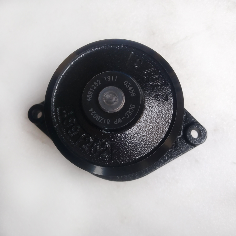 Water Pump 4891252 3900984 for ISBe Engines