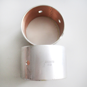 Camshaft Bush 3028075 for Cummins Diesel Engine