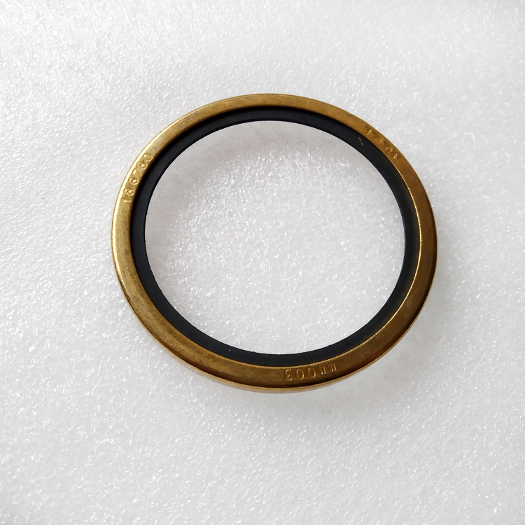 Thermostat Seal 186780 for Cummins K19 Engine